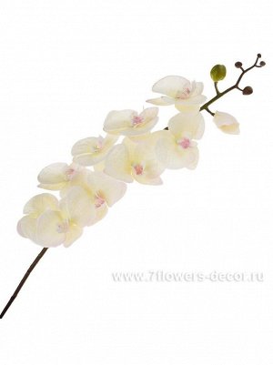 Фаленопсис 94 см цветок с силиконовым покрытием цвет белый Арт H031S-B33
