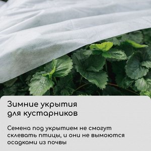 Материал укрывной, 5 × 1.6 м, плотность 42 г/м², с УФ-стабилизатором, белый, Greengo, Эконом 20%