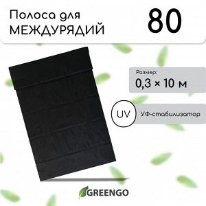 Полоса защитная для междурядий, плотность 80, УФ, 0,3 ? 10 м, чёрный, Greengo, Эконом 20 %