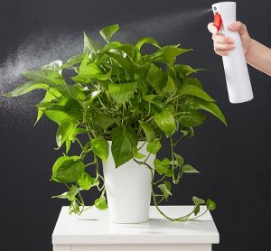 Пульверизатор Xiaomi iClean Spray Bottle 300 мл