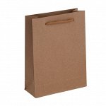 Пакет бумажный, крафт, однотонный, с канатной ручкой, 24,5x33x8 см