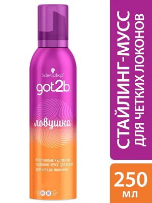 ГОТ ТУ БИ Стайлинг-мусс Ловушка /250
