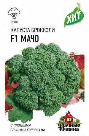 Капуста брокколи Мачо ЦВ/П (ГАВРИШ) 0,2гр среднеранний