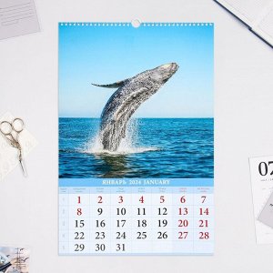 Календарь перекидной на ригеле "Живая природа" 2024 год, А3