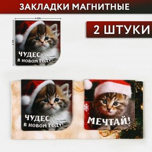 Магнитные закладки 2 шт на подложке «Чудес в новом году!»
