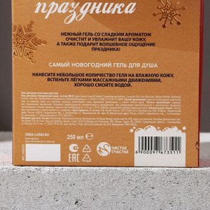 Подарочный набор новогодний «Сияй», гель для душа 250 мл и мочалка для тела, Чистое счастье