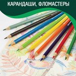 Цветные карандаши, фломастеры, мелки