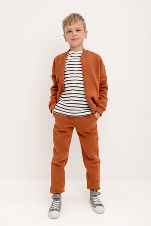 Брюки(Осень-Зима)+boys (ореховый к418)