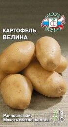 Картофель Велина ЦВ/П (СЕДЕК) 0,02гр раннеспелый светло-желтый