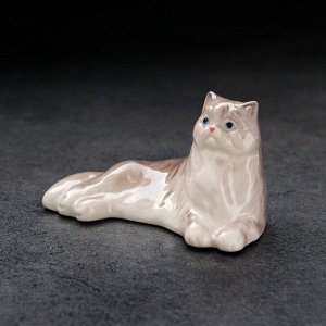 Сувенир "Лежащий персидский кот", 5,5х5х4,5 см ,фарфор цвет МИКС