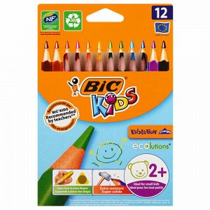 Карандаши цветные утолщенные BIC "Kids Evolution Triangle", 12 цветов, трехгранные, грифель 4 мм, 8297356, 82973511