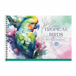 Альбом для рисования 32л., А4, на гребне ArtSpace ""Птицы. Тропические птицы""