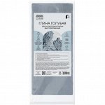 Глина для скульптурной и художественной лепки ТРИ СОВЫ, голубая, запекаемая, 1кг, вакуумный пакет