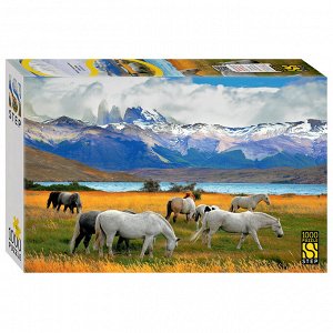 Мозаика "puzzle" 1000 "Лошади в национальном парке. Чили" 79179