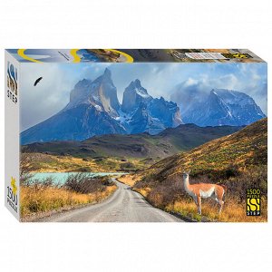Мозаика "puzzle" 1500 "Национальный парк в Чили" 83085