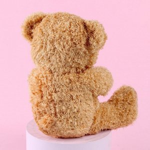 Мягкая игрушка «Ты лучше всех», медведь, 25 см, МИКС