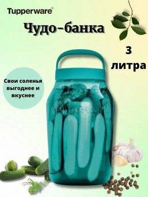 Чудо-банка 3л с ручкой изумрудная 1шт - Tupperware®.