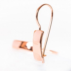Серьги пластины F82100918