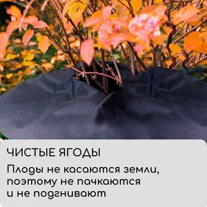 Круг приствольный, d=0.4 м, плотность 60 г/м?, спанбонд с УФ-стабилизатором, набор 5 шт., чёрный, Greengo, Эконом 20%