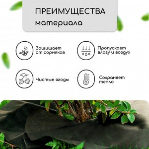 Круг приствольный, d = 1 м, плотность 60 г/м*, спанбонд с УФ-стабилизатором, набор 2 шт., чёрный, Greengo, Эконом 20%