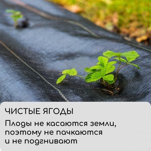 Агроткань застилочная, с разметкой, 5 * 1,1 м, плотность 100 г/м*, полипропилен, Greengo, Эконом 50%