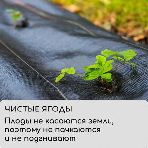 Агроткань застилочная, с разметкой, 5 ? 1,1 м, плотность 100 г/м?, полипропилен, Greengo, Эконом 50%