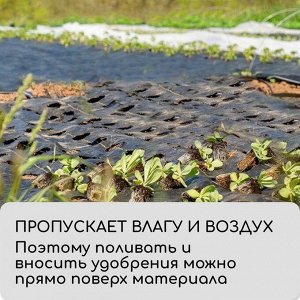 Агроткань застилочная, с разметкой, 5?1.1 м, плотность 100 г/м?, полипропилен, Greengo, Эконом 50%