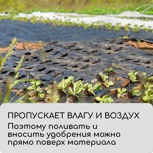 Агроткань застилочная, с разметкой, 10 ? 1,1 м, плотность 100 г/м?, полипропилен, Greengo, Эконом 50%