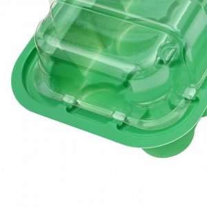 Мини - парник для рассады, 24x12x11 см, 11 ячеек под таблетки для рассады d=3 см, пластик, Greengo