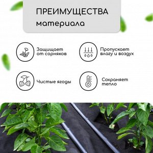 Материал мульчирующий, 10?1.6 м, плотность 60 г/м?, спанбонд с УФ-стабилизатором, чёрный, Greengo, Эконом 30%