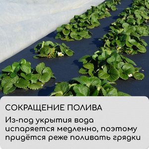 Материал мульчирующий, 5?0.8 м, плотность 80 г/м?, с УФ-стабилизатором, чёрный, Greengo, Эконом 30%