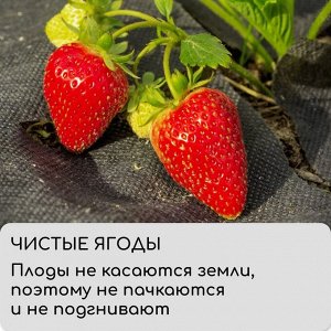 Материал мульчирующий, 10 ? 1,6 м, плотность 60 г/м?, спанбонд с УФ-стабилизатором, чёрный, Greengo, Эконом 20%