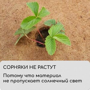 Кокосовое полотно для мульчирования, 10 ? 1 м, «Мульчаграм»