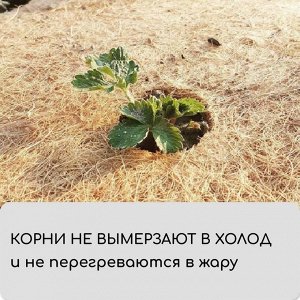 Кокосовое полотно для мульчирования, 10 ? 1 м, «Мульчаграм»