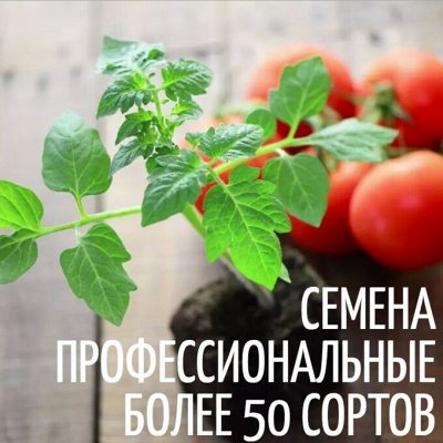 Коллекция профессиональных семян ручной фасовки