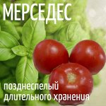 Семена Томат Мерседес, 5 семян, сортовой