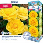 Роза Сейко (Чайно-гибридная) 1шт (Сиб сад)