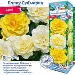 Роза Еллоу Субмарин (Шраб) 2 разбор 1шт (Сиб сад)