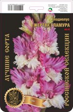 Гладиолус Жертва Гламура 443,Фотин 2 р-р 7шт (Ф)