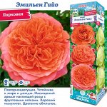 Роза Эмильен Гийо (Парковая) 1шт (Сиб сад)