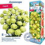 Роза Аннакира (Спрей) 1шт (Сиб сад)