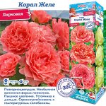 Роза Корал Желе (Парковая) 1шт (Сиб сад)