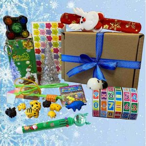 Подарочный набор 10 в 1 Новогодний 9046515
