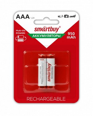 Аккумулятор NiMh AAA/2BL 950 mAh (24/240) (SBBR-3A02BL950)