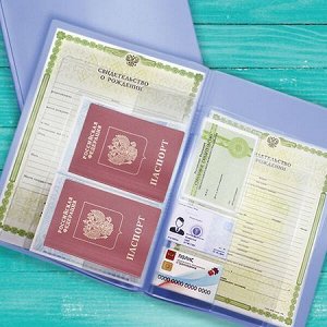 Папка для семейных документов с файлом для паспортов A4 ПВХ светло голубая 2137.П-124 ДПС