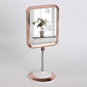 Зеркало настольное, на гибкой ножке, двустороннее, с увеличением, зеркальная поверхность 12,5 ? 16 см, цвет медный/белый