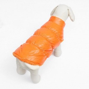 Куртка для собак "Блеск", M (ДС 30, ОГ 43, ОШ 28 см, до 7 кг), оранжевая