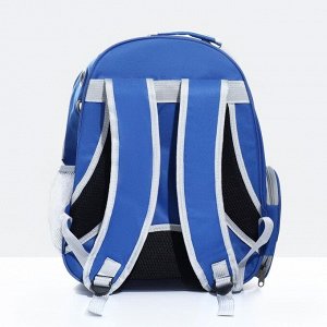 Рюкзак для переноски животных прозрачный, 31 х 28 х 42 см, синий