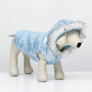 СИМА-ЛЕНД Куртка для собак &quot;Легкость&quot;, размер S (ДС 24, ОГ 34, ОШ 24 см, до 5 кг), голубая