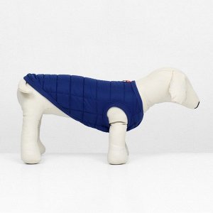 СИМА-ЛЕНД Куртка для собак &quot;Nice&quot;, размер XS (ДС 20 см, ОШ 20 см, ОГ 28 см), синяя